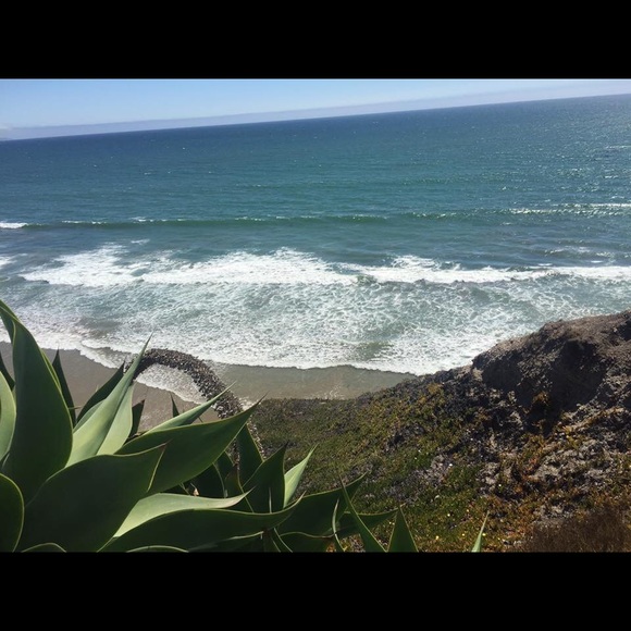 Meet your Posher, Tori - Picture 8 of 8